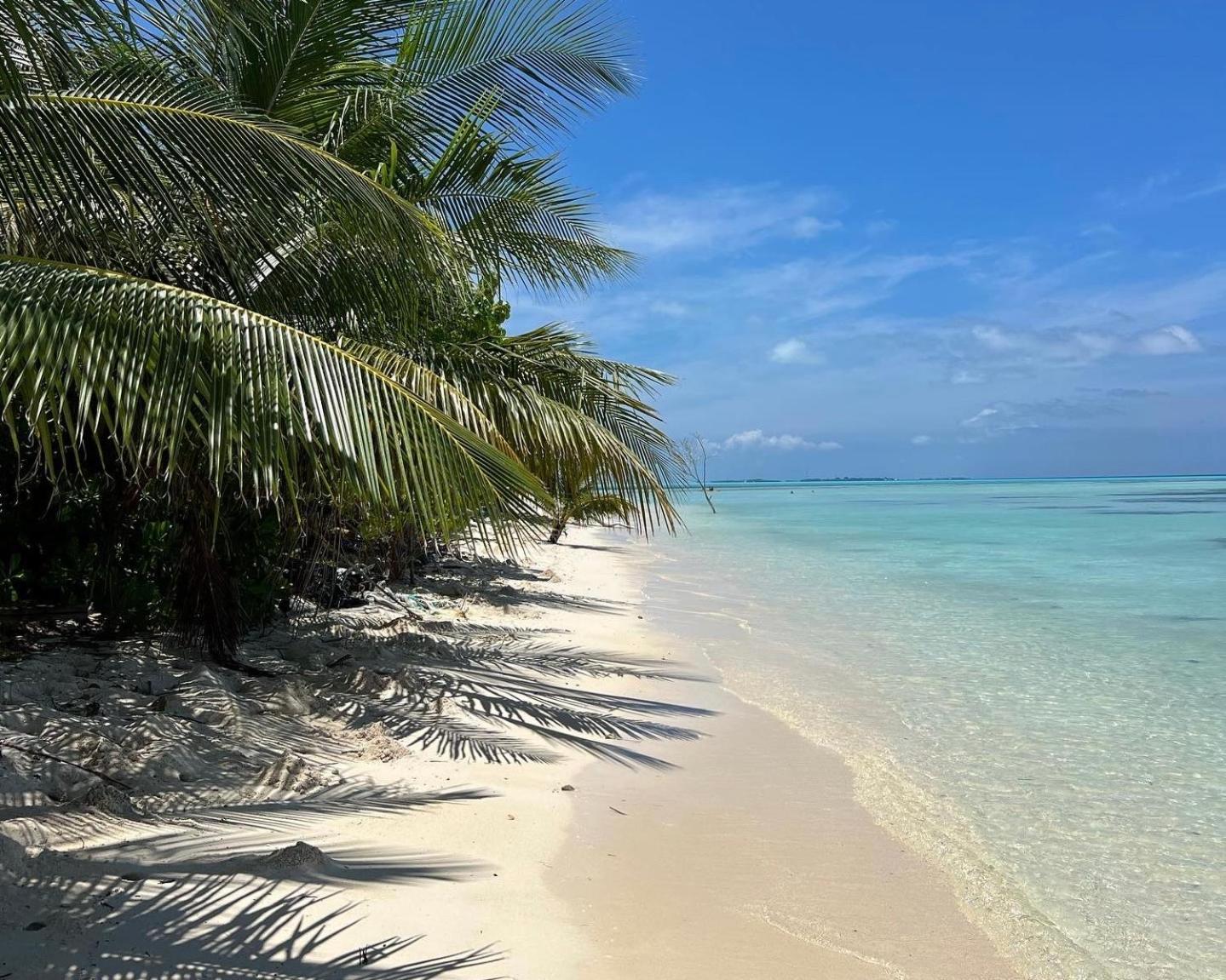 Heron Beach Hotel - The Best Maldivian Getaway In Dhiffushi,Maldives Eksteriør billede